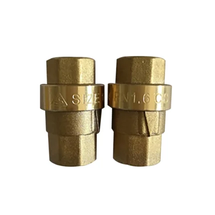 Fusheng Air Compressor Parts Check Valve